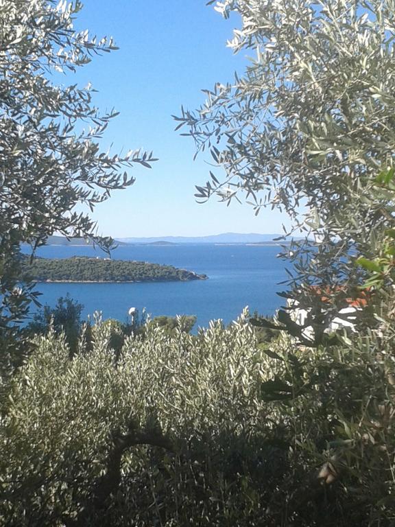 Apartments Jasna Trogir Luaran gambar